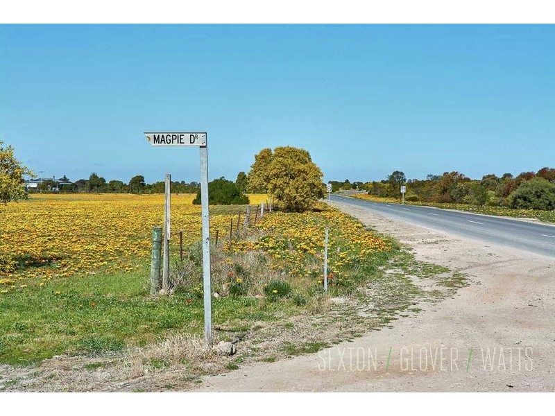 43 Magpie Drive, Tailem Bend SA 5260