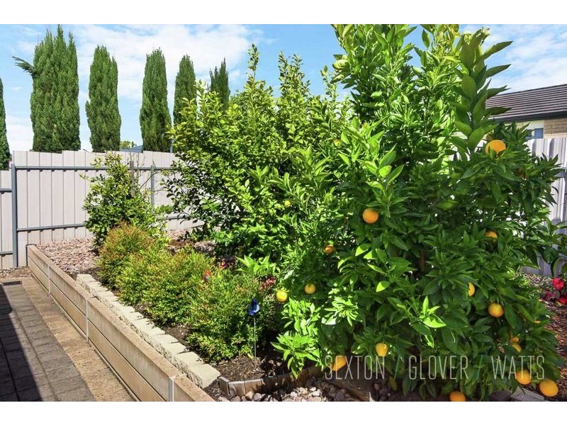 15 Penny Street, Mount Barker SA 5251