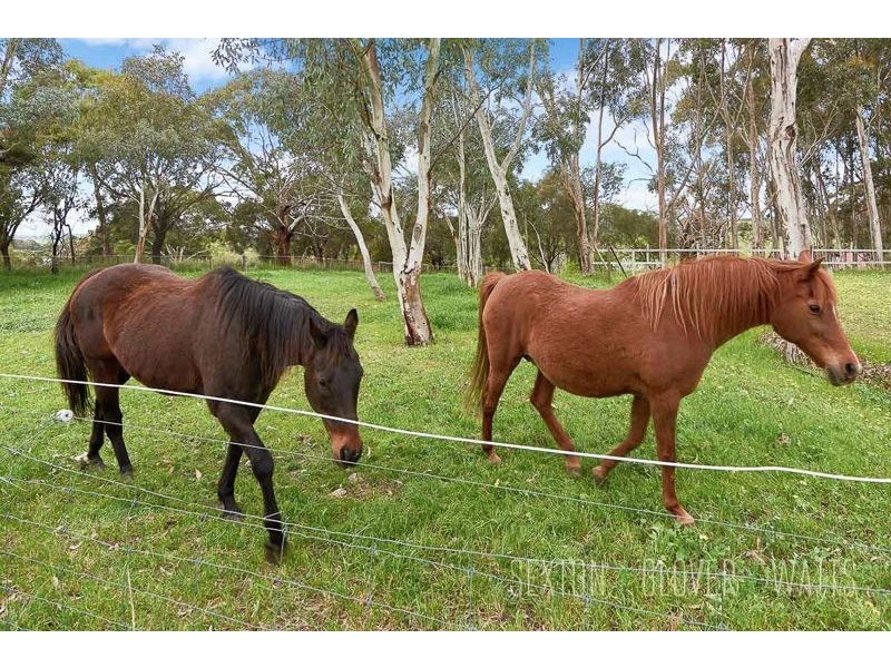 90 Frampton Road, Wistow SA 5251