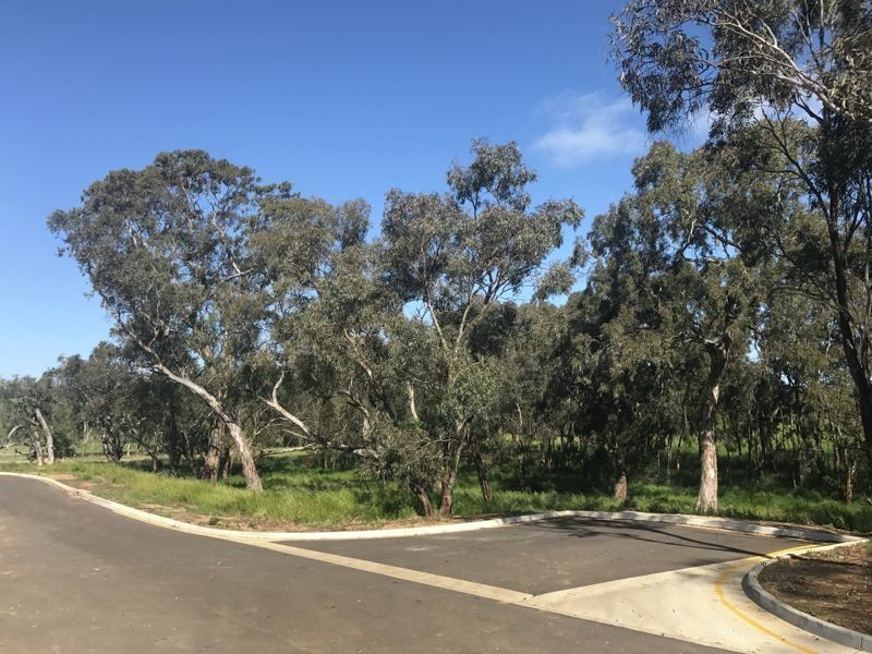 16 Kangaroo Terrace, Mount Barker SA 5251