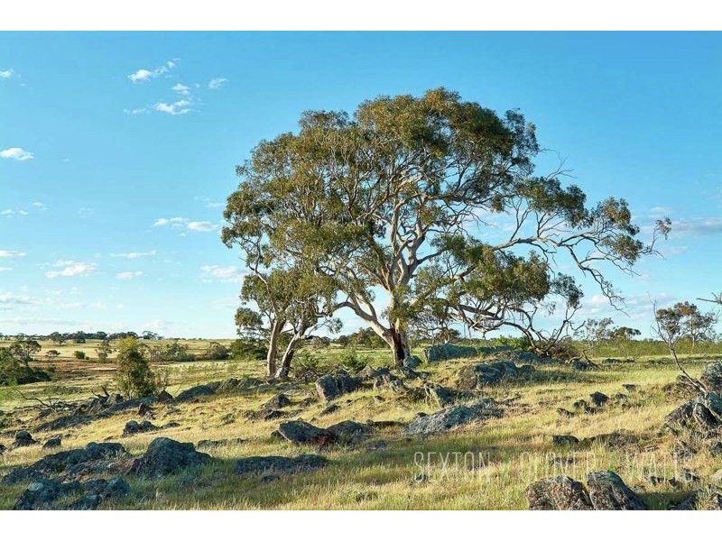 394 Talbot Road, Rockleigh SA 5254