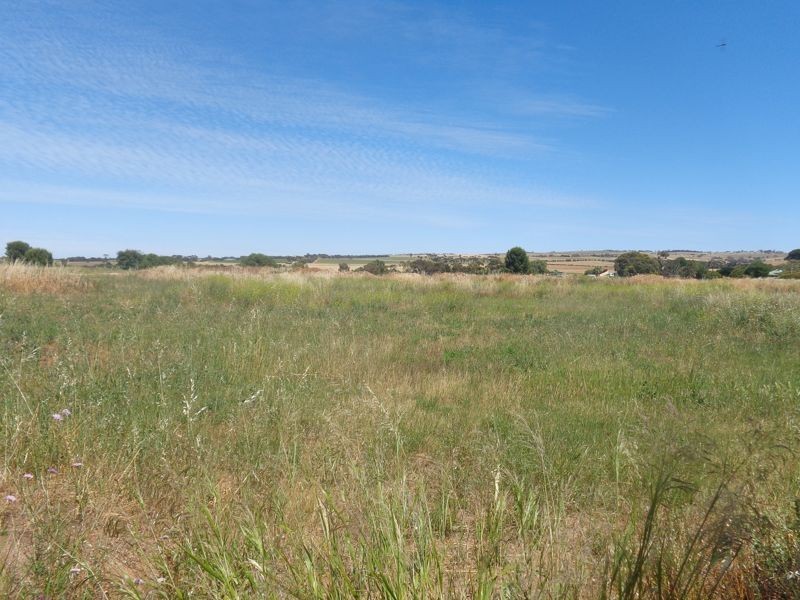 Lots 7 & 8 Milnes Road, Strathalbyn SA 5255