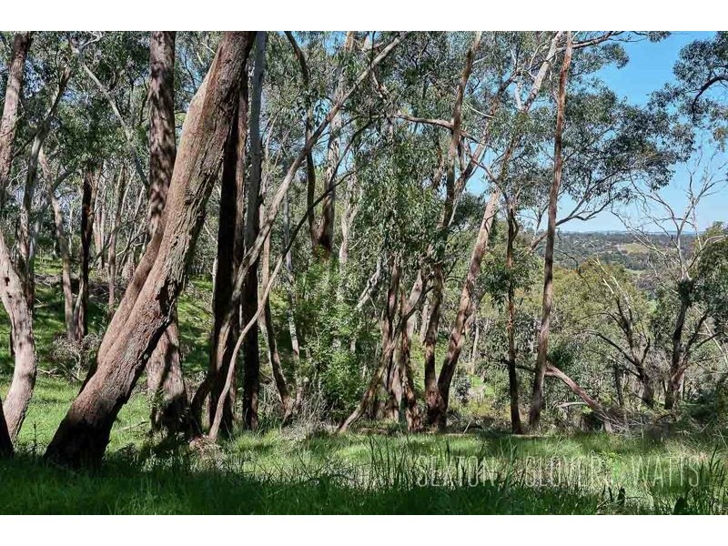 65B Morgan Road, Ironbank SA 5153