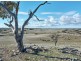 278 Panican Hill Road, Rockleigh SA 5254