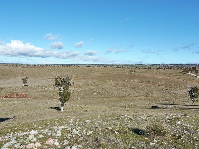 278 Panican Hill Road, Rockleigh SA 5254