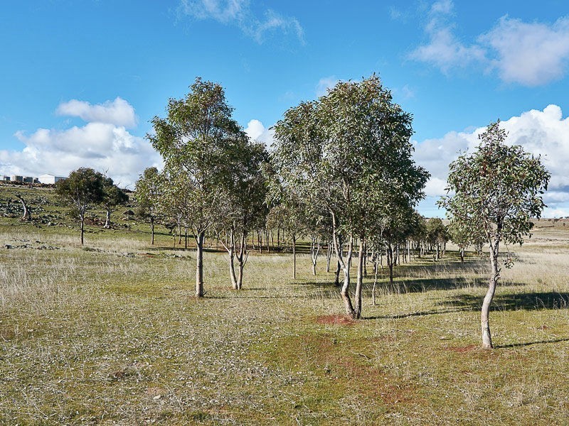 278 Panican Hill Road, Rockleigh SA 5254