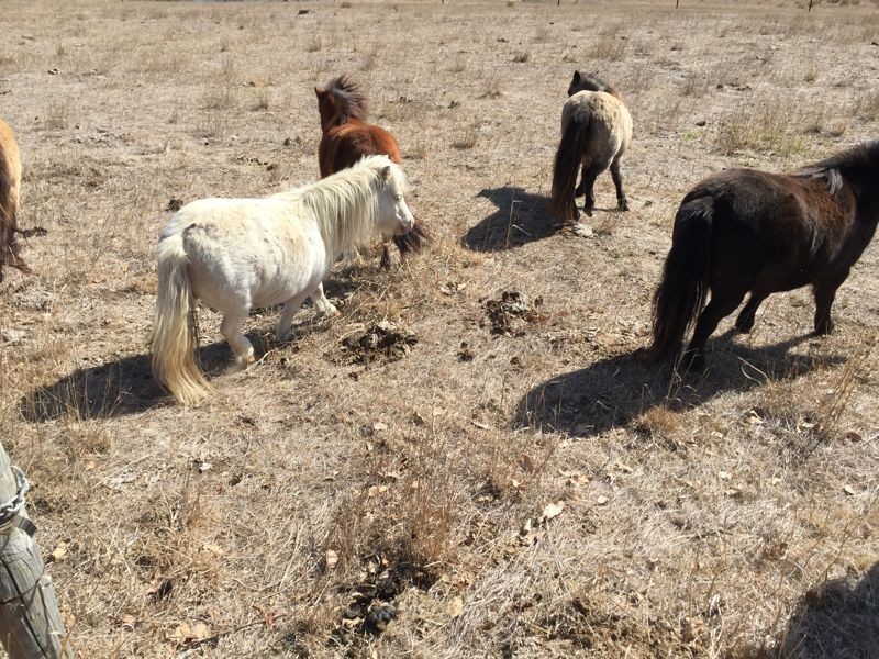 Archer Hill Road, Highland Valley SA 5255