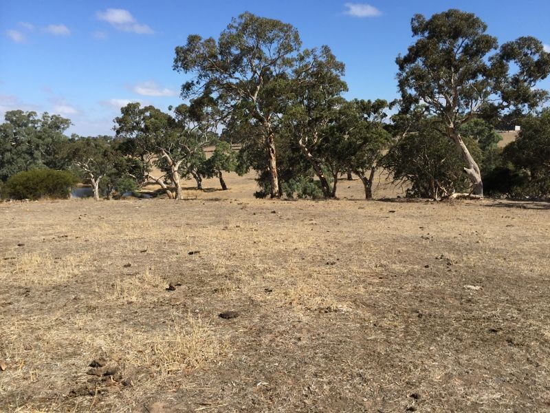 Archer Hill Road, Highland Valley SA 5255