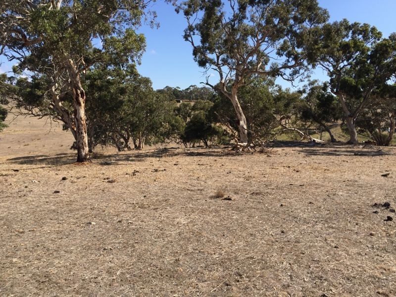 Archer Hill Road, Highland Valley SA 5255