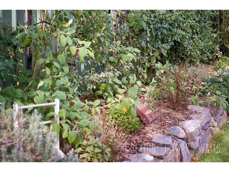 15 David Street, Lobethal SA 5241