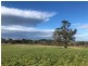 Lot 305 Old Princes Highway, Nairne SA 5252