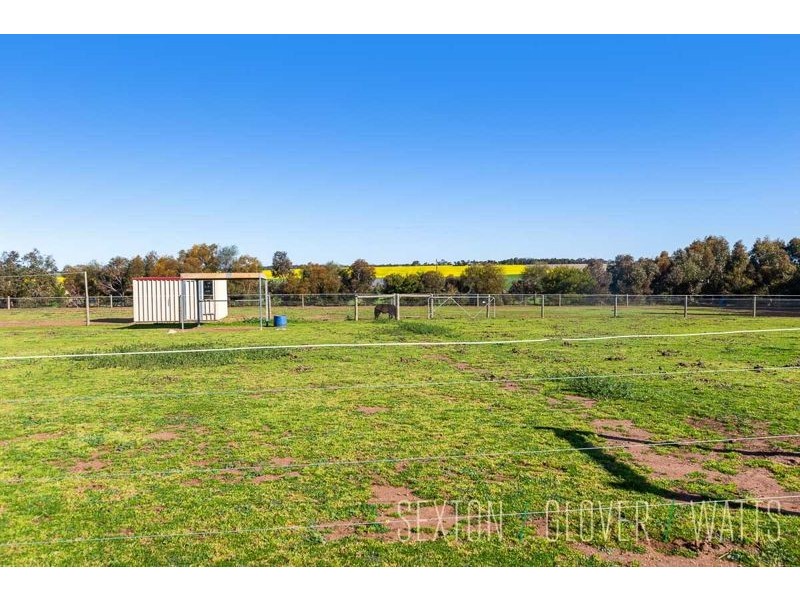 85 Lockaba Drive, Willyaroo SA 5255