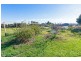 85 Lockaba Drive, Willyaroo SA 5255
