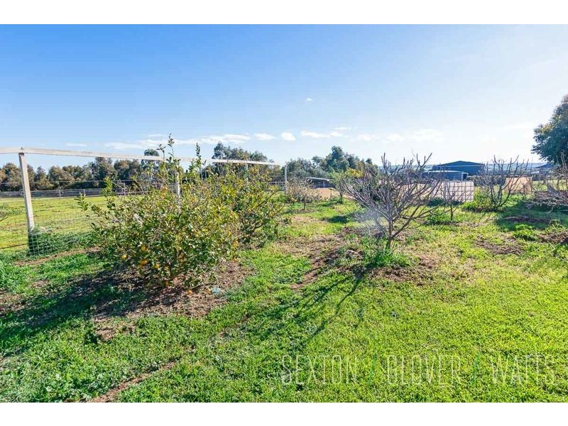 85 Lockaba Drive, Willyaroo SA 5255