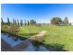 85 Lockaba Drive, Willyaroo SA 5255