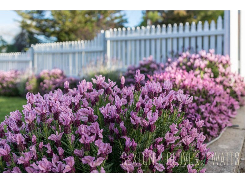 22 Post Office Road, Lobethal SA 5241