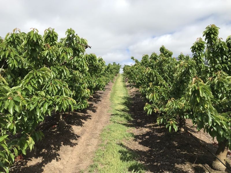 1718 South Para Road, Chain Of Ponds SA 5231