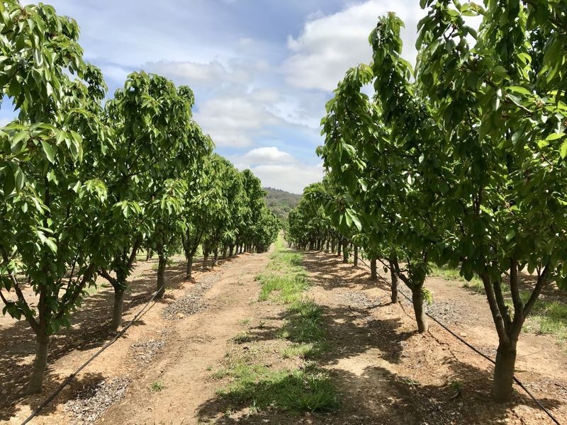 1718 South Para Road, Chain Of Ponds SA 5231