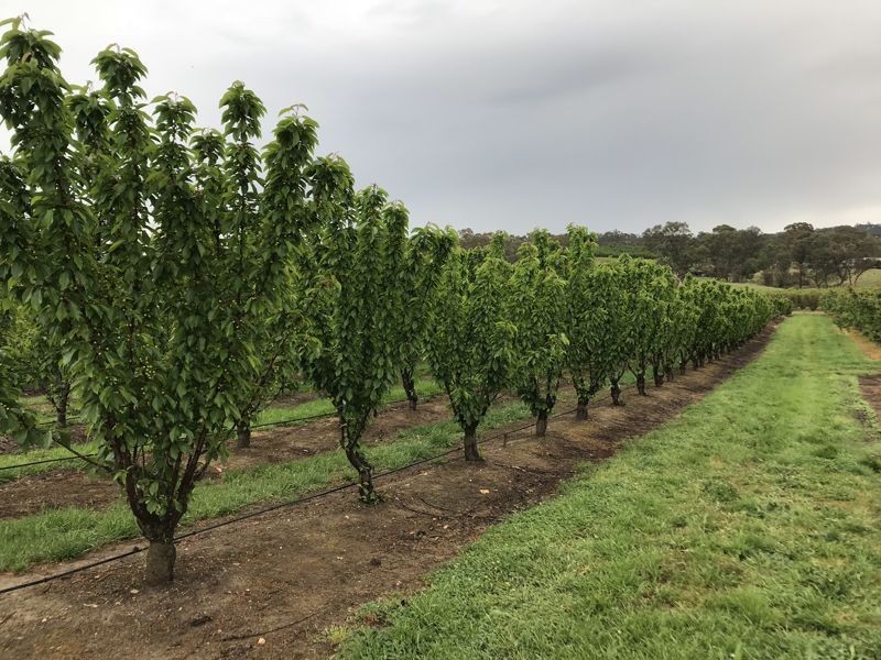 1718 South Para Road, Chain Of Ponds SA 5231