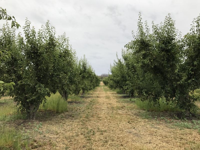 1718 South Para Road, Chain Of Ponds SA 5231