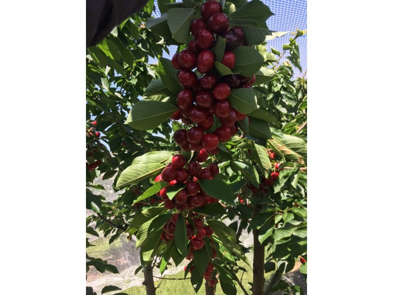 1718 South Para Road, Chain Of Ponds SA 5231