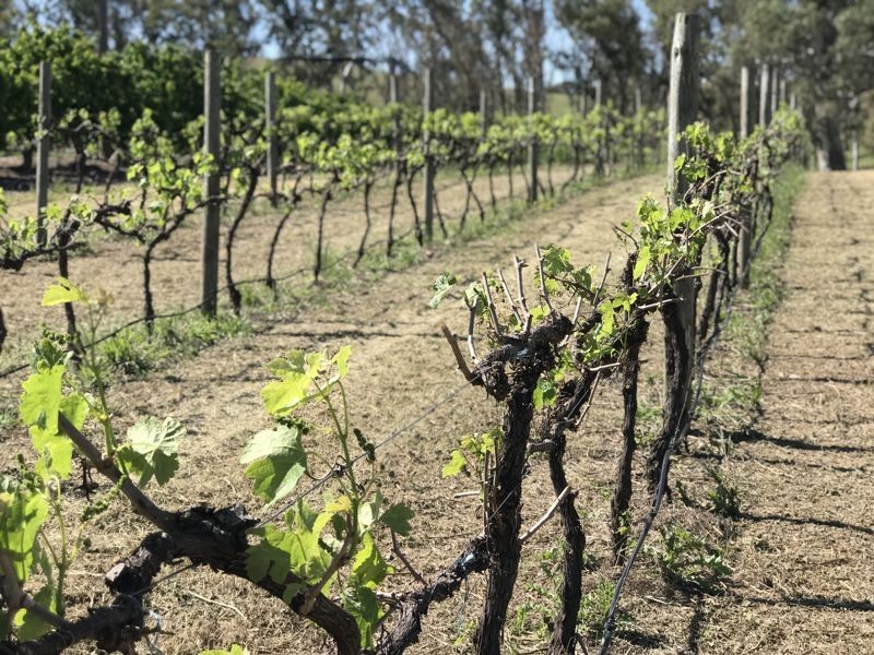 1718 South Para Road, Chain Of Ponds SA 5231