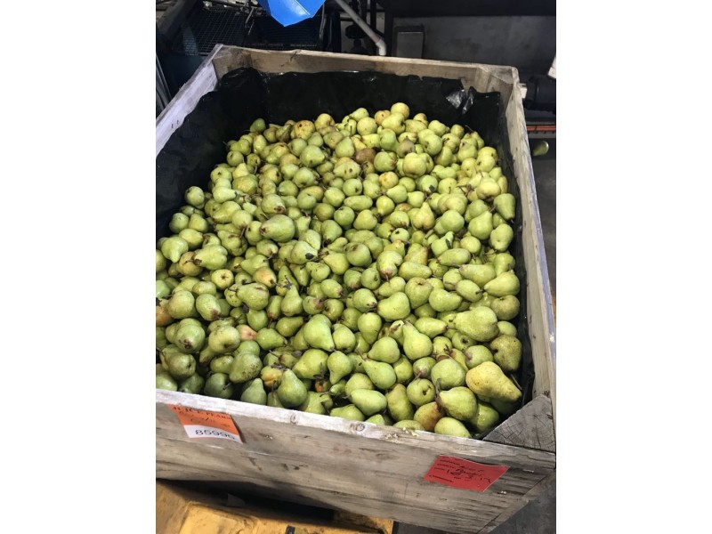 1718 South Para Road, Chain Of Ponds SA 5231