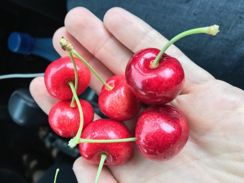 1718 South Para Road, Chain Of Ponds SA 5231