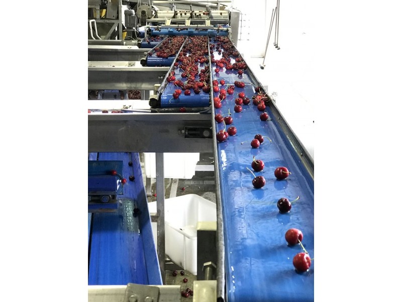 1718 South Para Road, Chain Of Ponds SA 5231