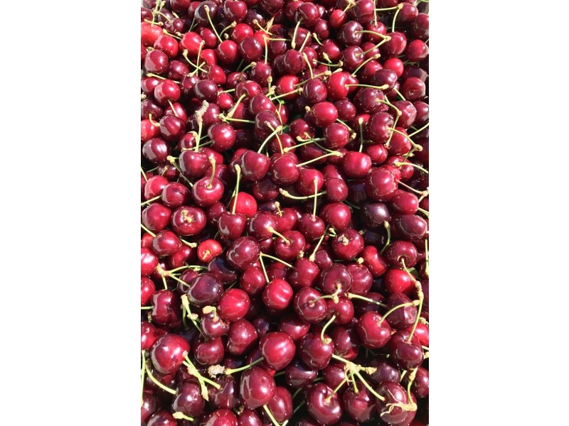 1718 South Para Road, Chain Of Ponds SA 5231