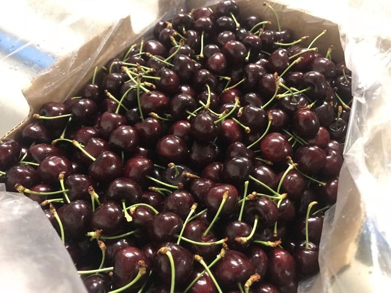 1718 South Para Road, Chain Of Ponds SA 5231