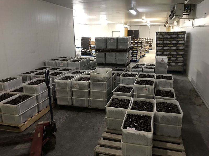 1718 South Para Road, Chain Of Ponds SA 5231