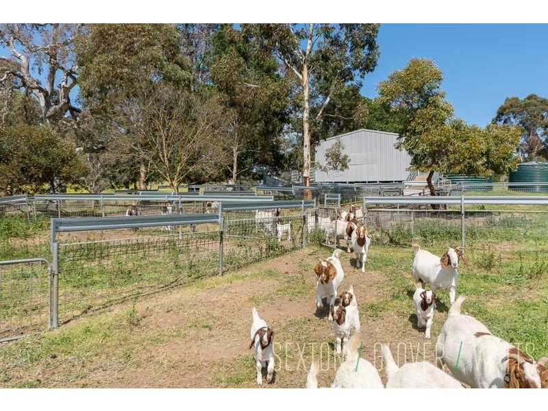 Lot 25 Stirling Hill Road, Gemmells SA 5255