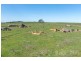 Lots 5 & 6 Range Road, Rockleigh SA 5254