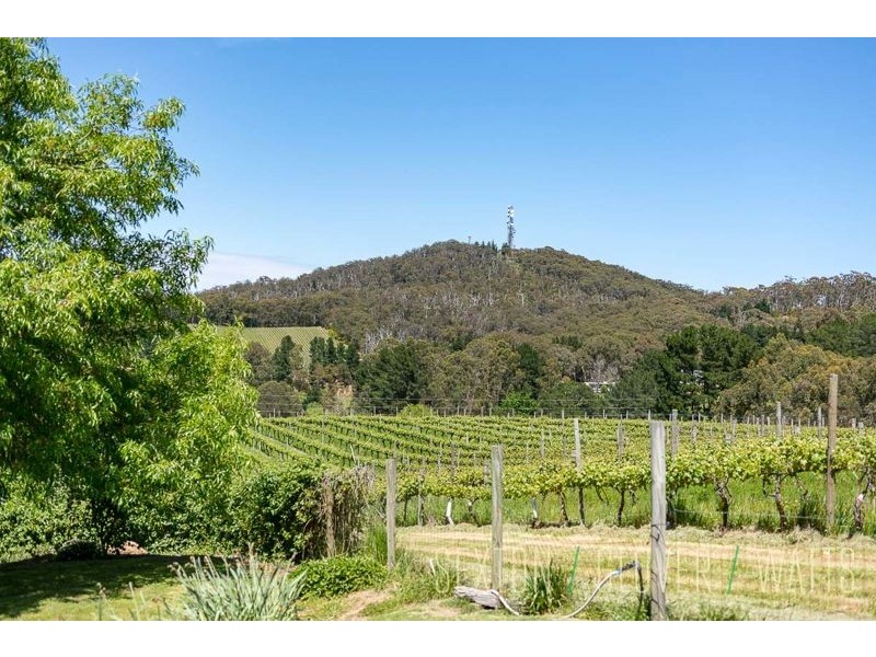 1018 Greenhill Road, Summertown SA 5141