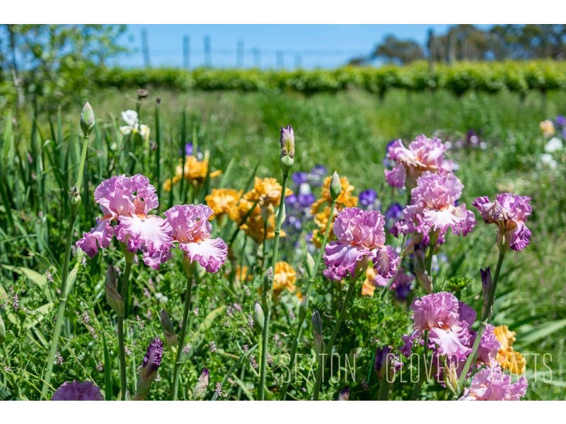 1018 Greenhill Road, Summertown SA 5141