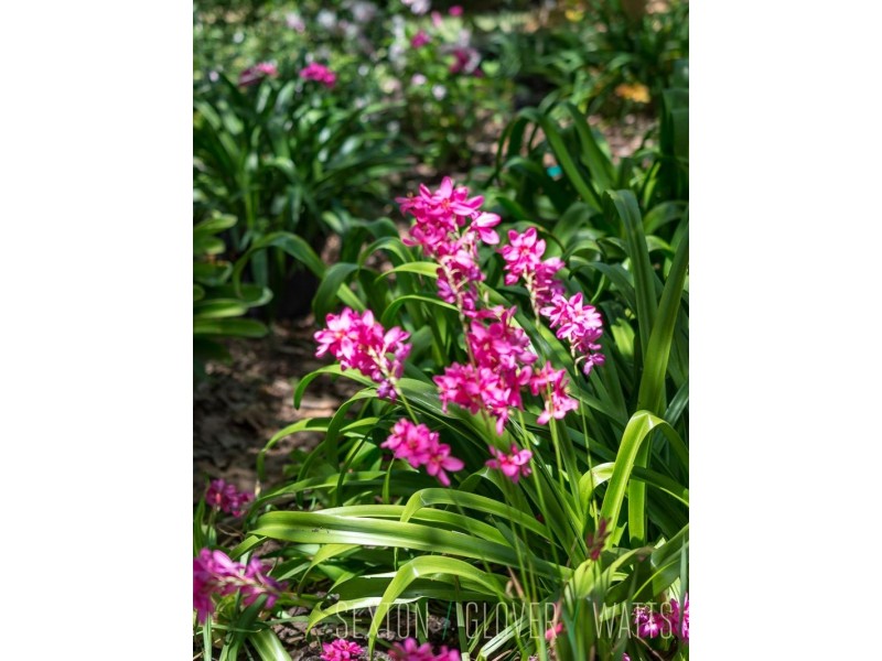 1018 Greenhill Road, Summertown SA 5141