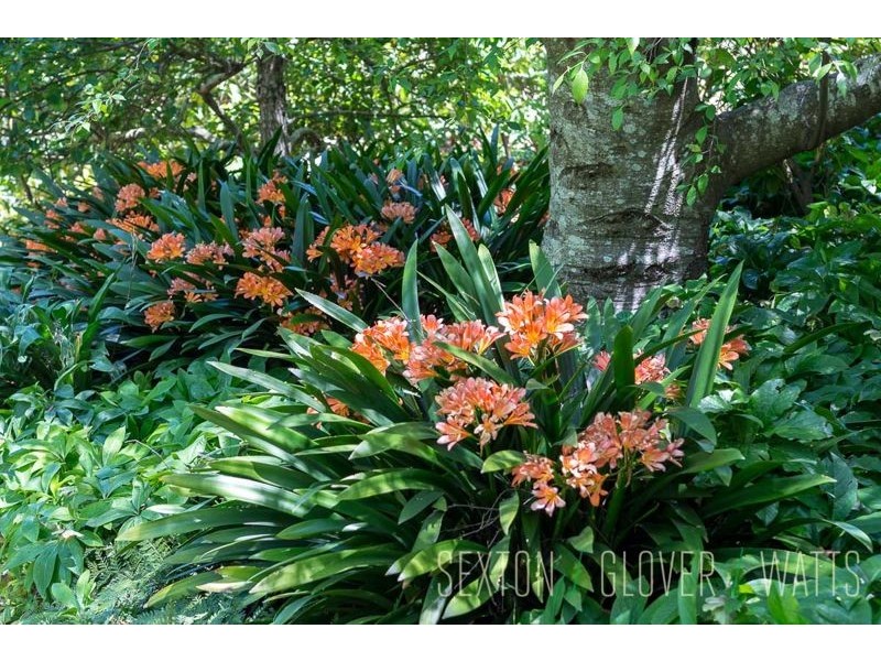 1018 Greenhill Road, Summertown SA 5141