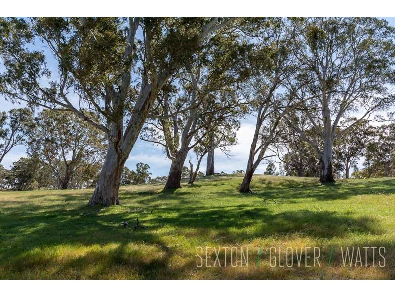 Lot 86 Tiers Road, Woodside SA 5244