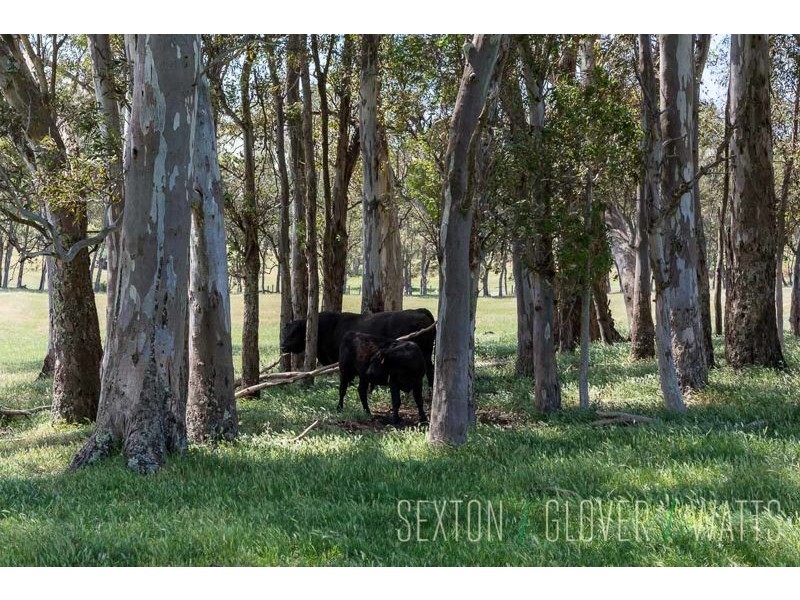 Lot 86 Tiers Road, Woodside SA 5244