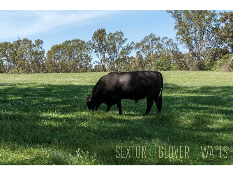 Lot 86 Tiers Road, Woodside SA 5244