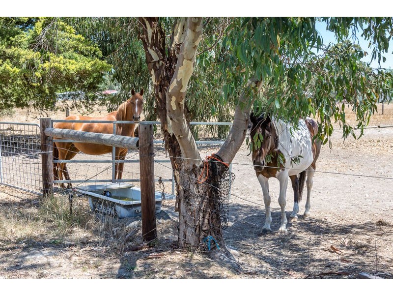 21 Battunga Road, Meadows SA 5201