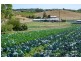 47 Swamp Road, Uraidla SA 5142