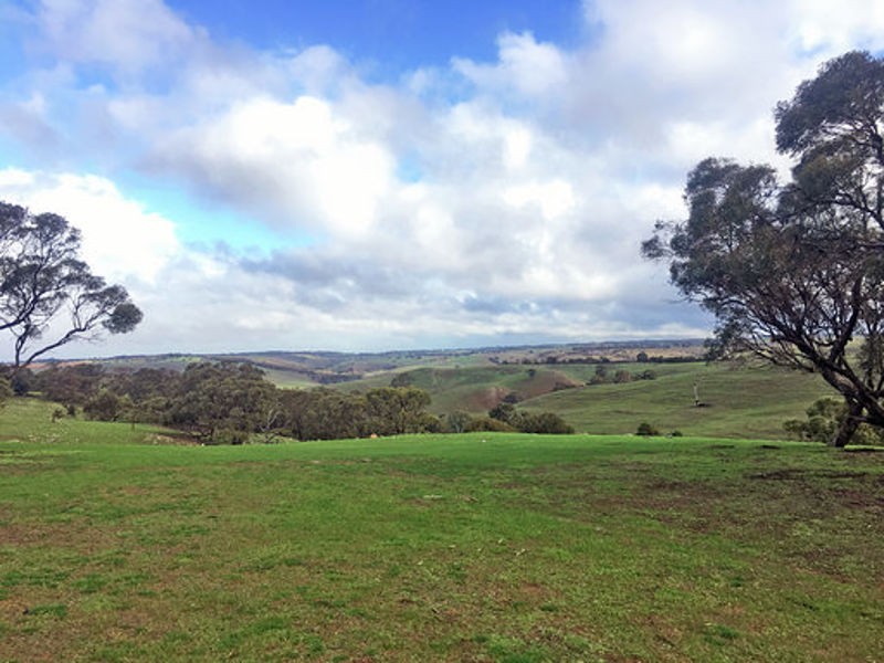 Lot 102 & 103 Back Callington Road, Mount Barker Springs SA 5251