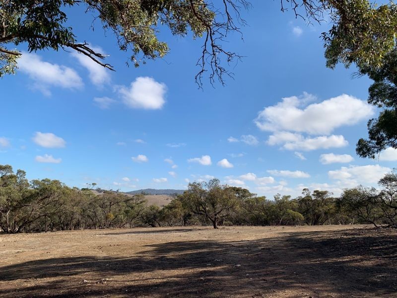 Lot 102 & 103 Back Callington Road, Mount Barker Springs SA 5251
