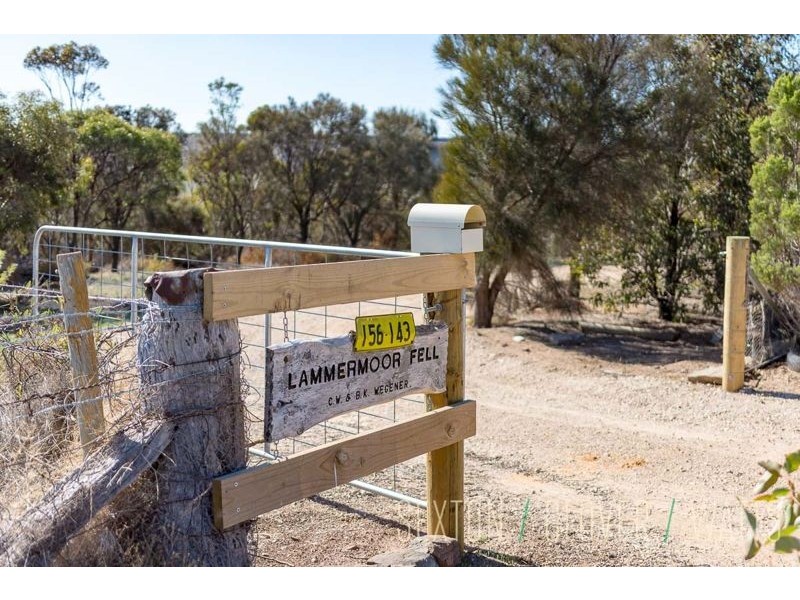 573 Back Callington Road, Petwood SA 5254