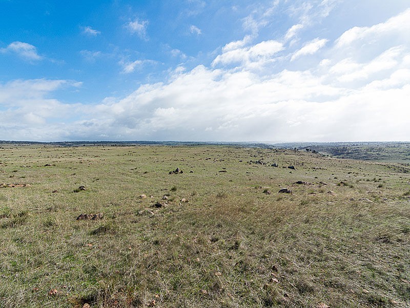 119 Rockleigh Road, Rockleigh SA 5254
