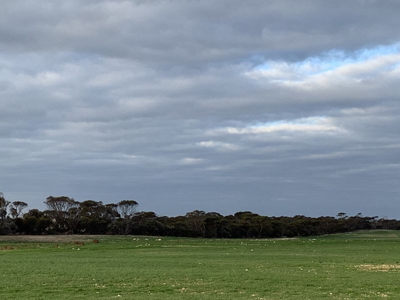 Lot 20 Chaunceys Line Road, Brinkley SA 5253