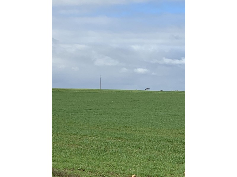 Lot 20 Chaunceys Line Road, Brinkley SA 5253