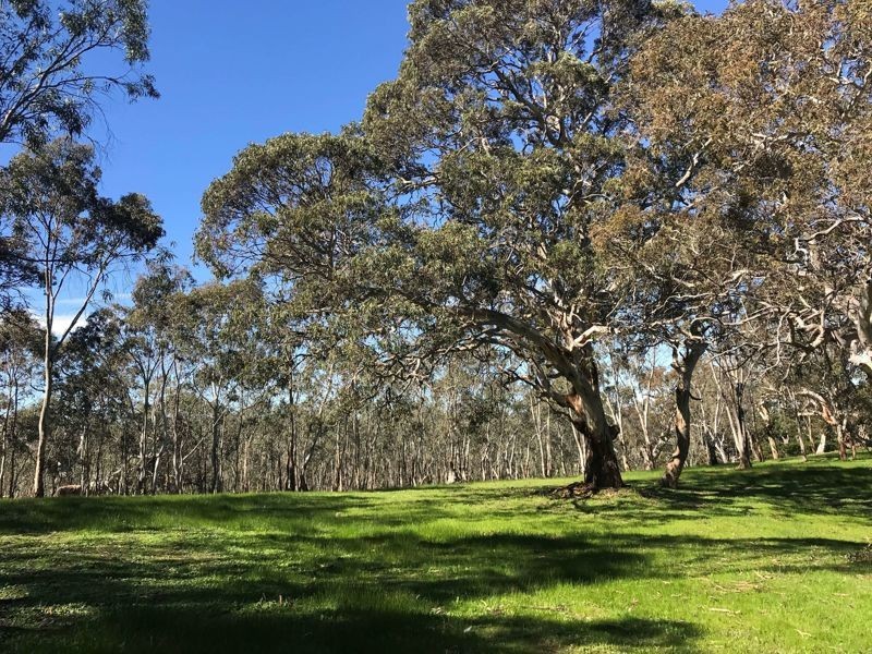 2 Wirrinilla Drive, Macclesfield SA 5153